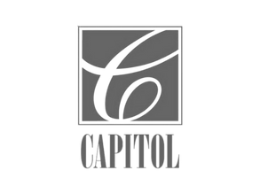 90.101_VMG-capitol-grayscale-logo